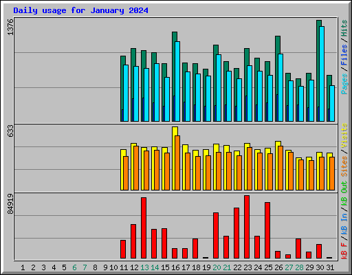 Daily usage for January 2024