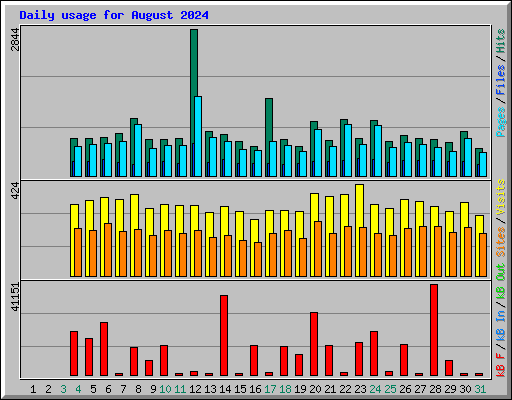 Daily usage for August 2024