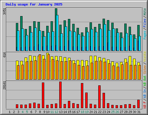 Daily usage for January 2025