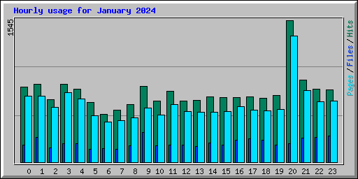 Hourly usage for January 2024