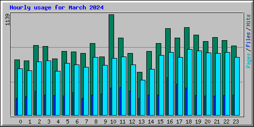 Hourly usage for March 2024