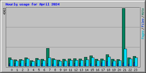 Hourly usage for April 2024