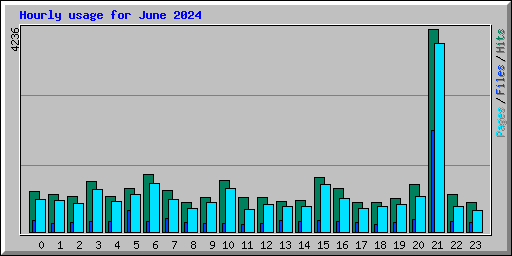 Hourly usage for June 2024