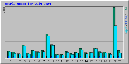 Hourly usage for July 2024