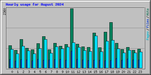 Hourly usage for August 2024