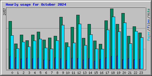 Hourly usage for October 2024