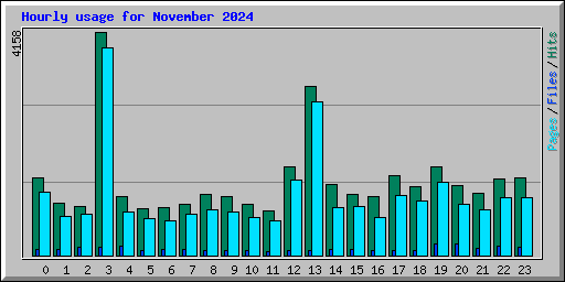 Hourly usage for November 2024