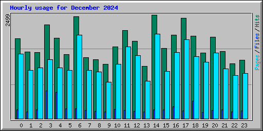 Hourly usage for December 2024