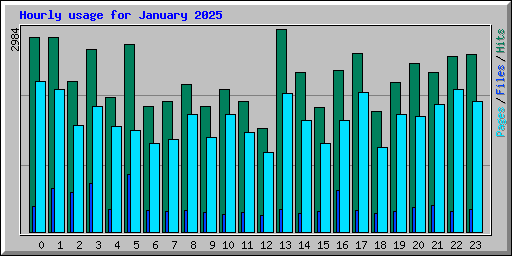 Hourly usage for January 2025