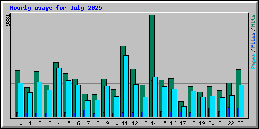 Hourly usage for July 2025