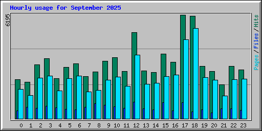 Hourly usage for September 2025