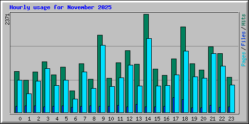 Hourly usage for November 2025