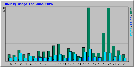 Hourly usage for June 2026
